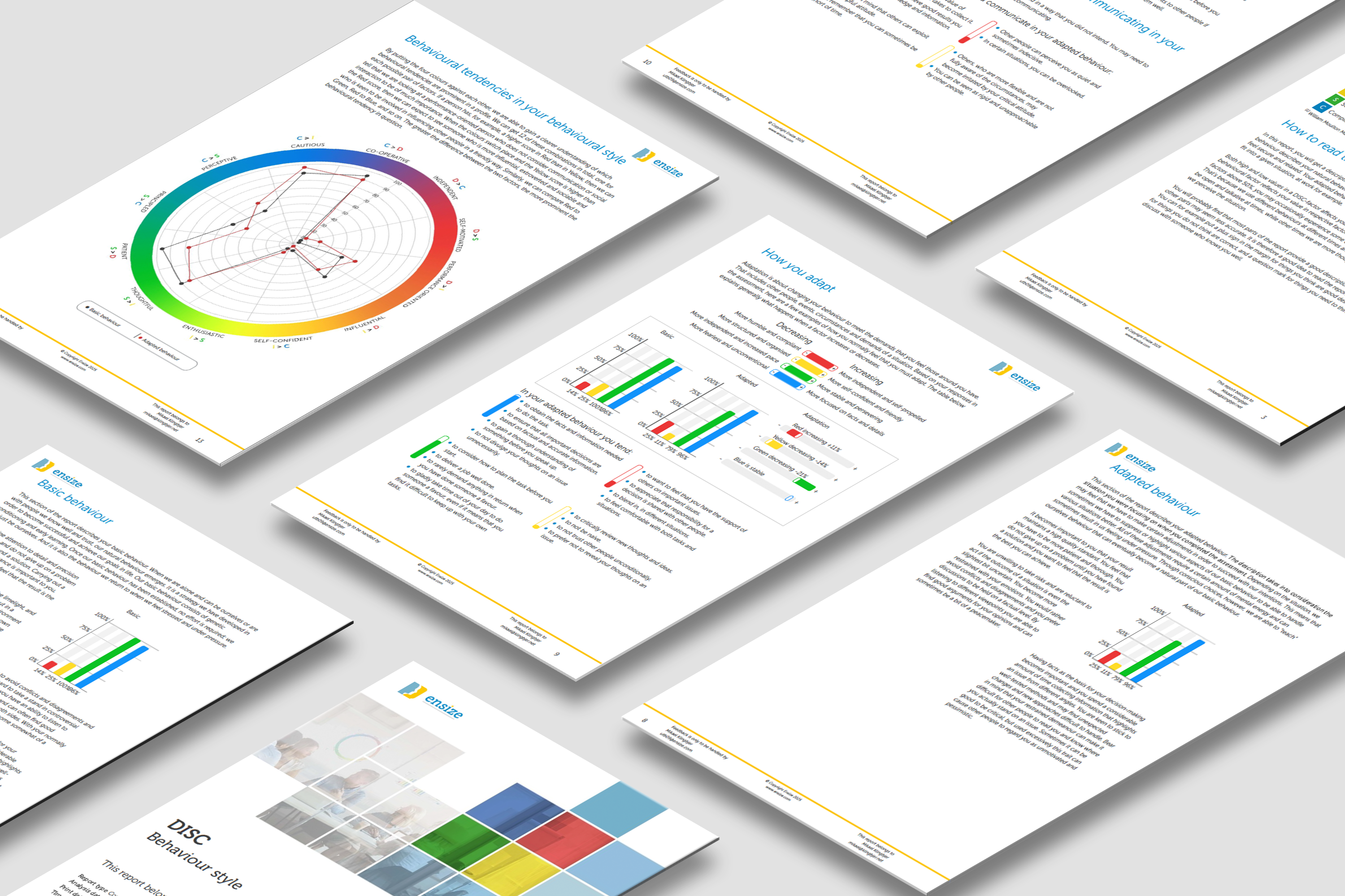 DISC rapport-spread