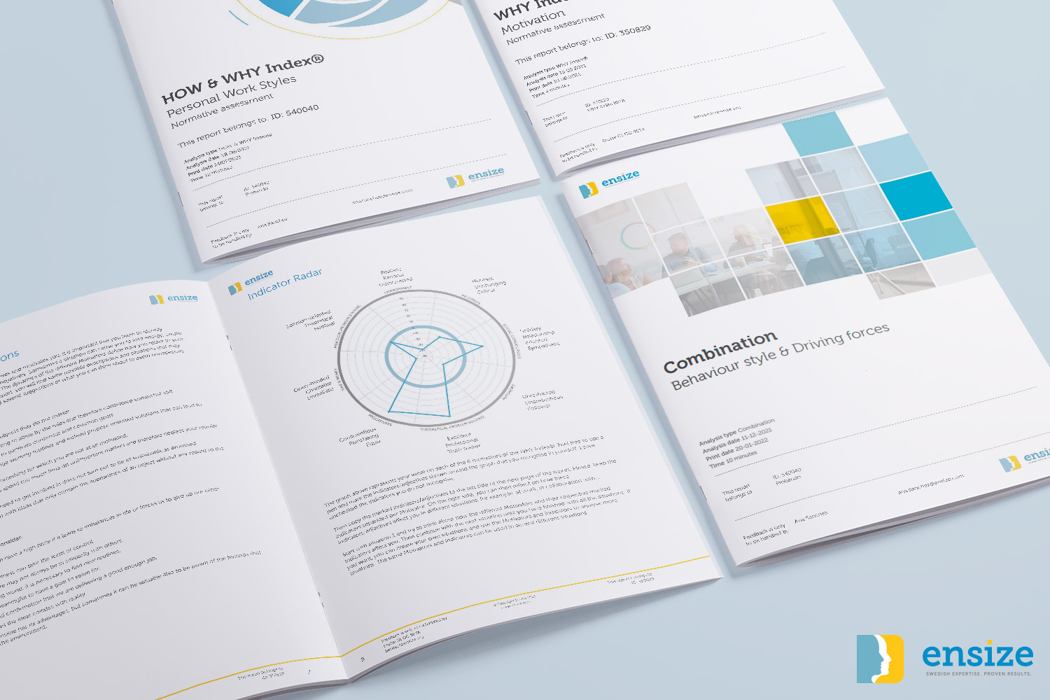 Ensize rapporten WHY Index